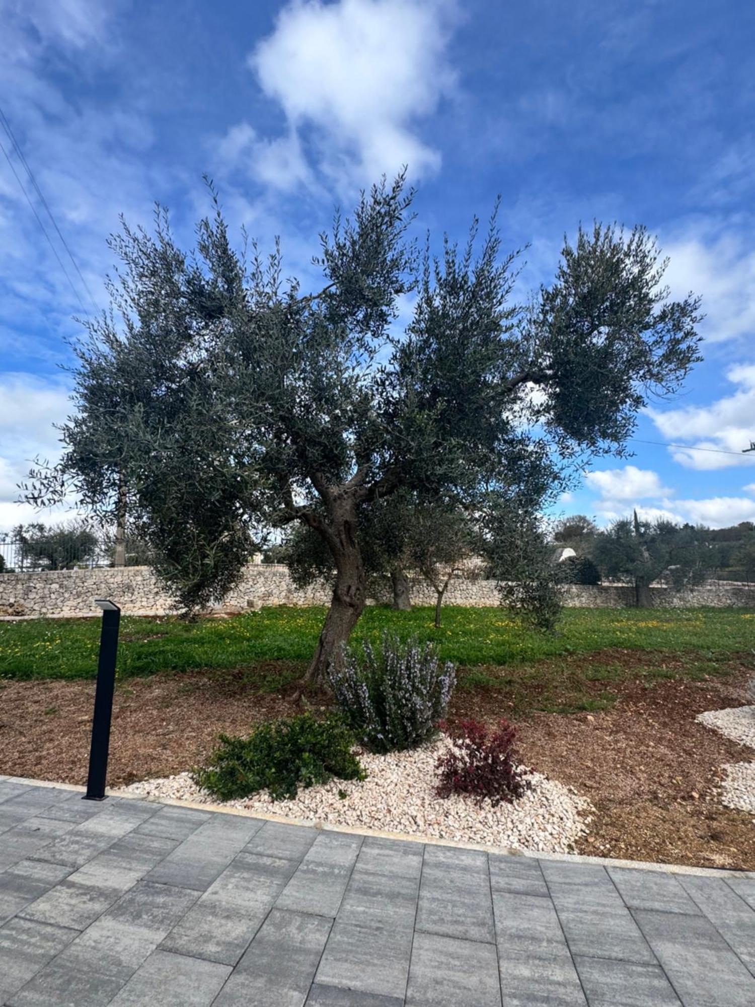 Alberobbe Luxury Rooms ألبيروبيللو المظهر الخارجي الصورة